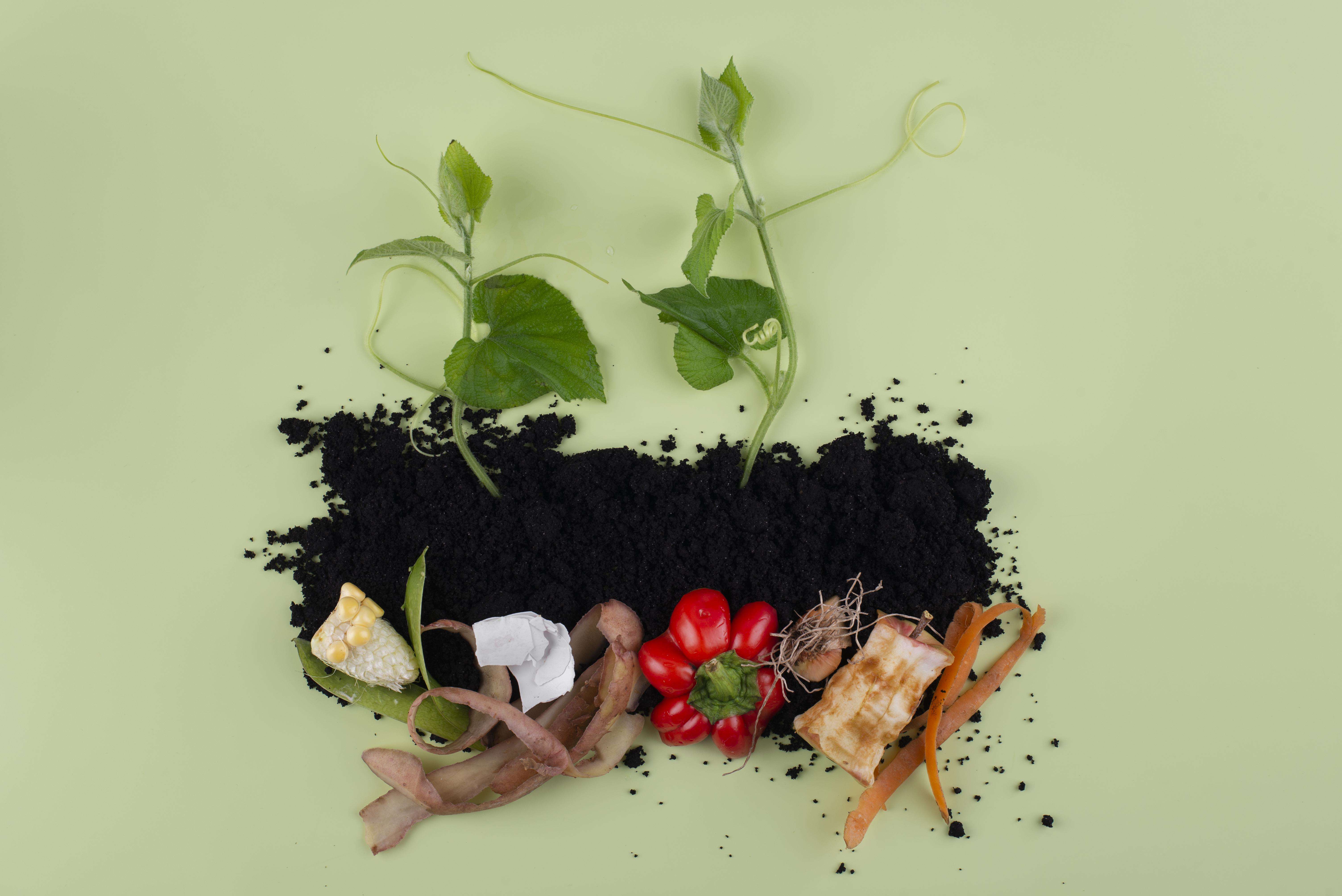 composition-compost-made-rotten-food.jpg